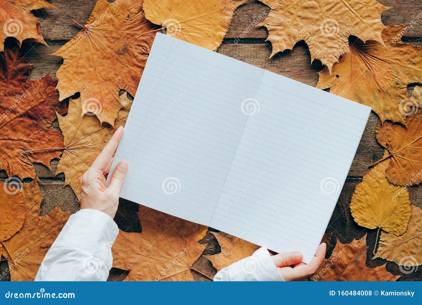 秋叶木背景 有女人的手和复印空间9月1日的壁纸库存照片 图片包括有9月1日的壁纸 秋叶木背景 有女人的手和复印空间