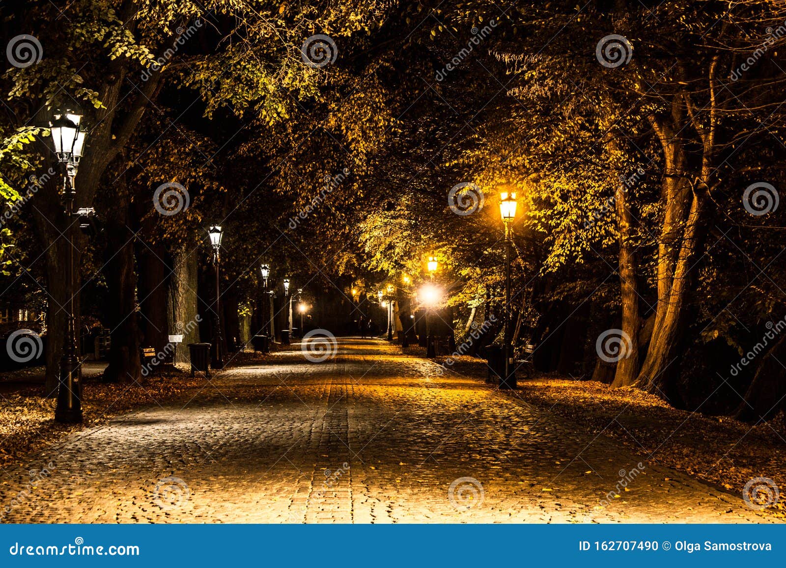 秋夜公园夜间公园的灯背景纹理库存照片 图片包括有奥秘 本质 自然 背包 叶子 设计