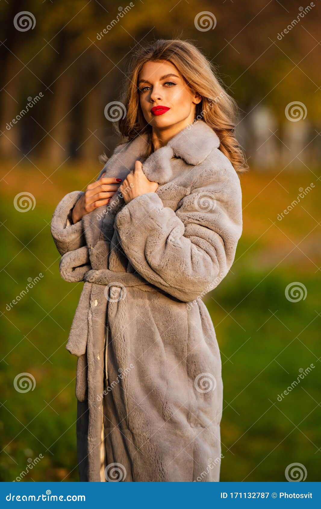 秋季女装欧洲冬季服装穿着皮衣的女装时髦的女装仿皮通用库存图片 图片包括有公园 女实业家 秋季女装欧洲冬季服装穿着皮衣的女装时髦的女装仿皮通用库存图片 图片包括有公园 女实业家