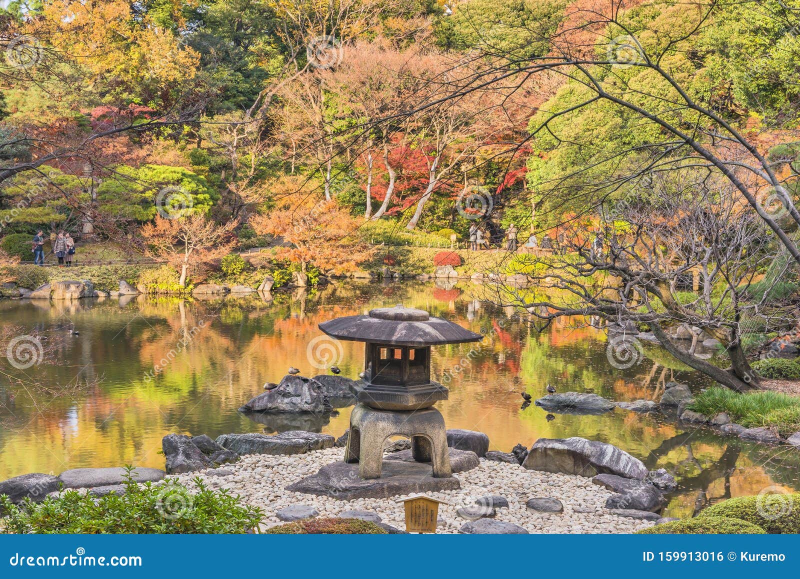 秋日东京都公园古川日式花园的由基木石灯库存照片 图片包括有季节 地标 本质 豪宅 文化