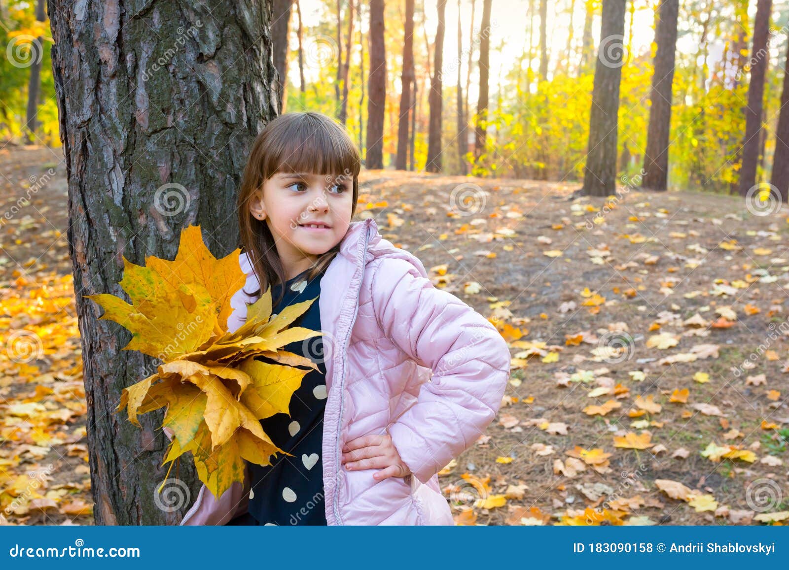 秋日的户外画像中 一个枫叶儿童在阳光明媚的日子 背景 黄金时节在公园玩耍库存照片 图片包括有金黄 人力