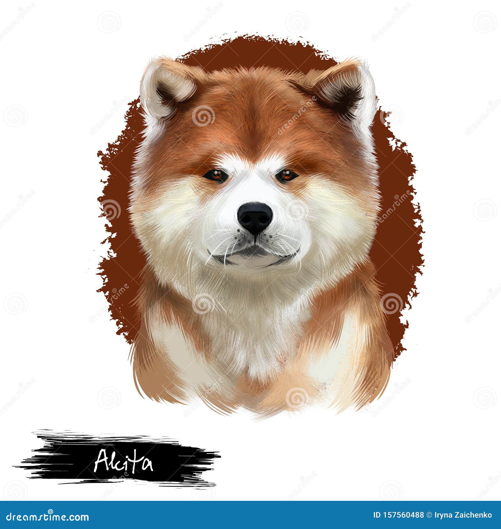 秋田种数码艺术的白色插图可爱的家畜纯种动物美国大型犬akita Inu 库存例证 插画包括有