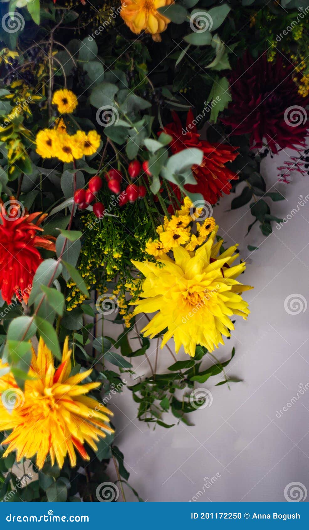 秋花概念库存照片 图片包括有季节性 框架 照亮 债券 黄色 秋天 内部 自治权 概念 秋花概念库存照片 图片包括有季节性 框架 照亮 债券 黄色 秋天 内部 自治权 概念