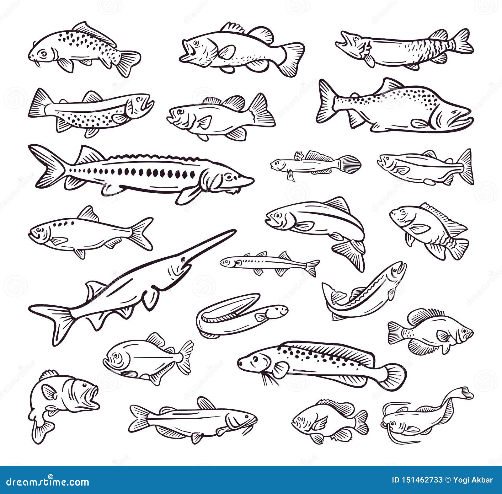 种类海鲜 海鱼手拉的收藏向量例证 插画包括有 种类海鲜 海鱼手拉的收藏向量例证 插画包括有