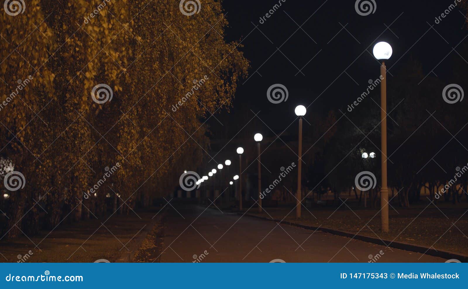 空的街道在根据街灯的晚上e 路灯到底照亮树和边路库存图片 图片包括有路灯到底照亮树和边路 空的街道在根据街灯的晚上 空的街道在根据街灯的晚上e 路灯到底照亮树和边路库存图片 图片包括有路灯到底照亮树和边路 空的街道在根据街灯的晚上