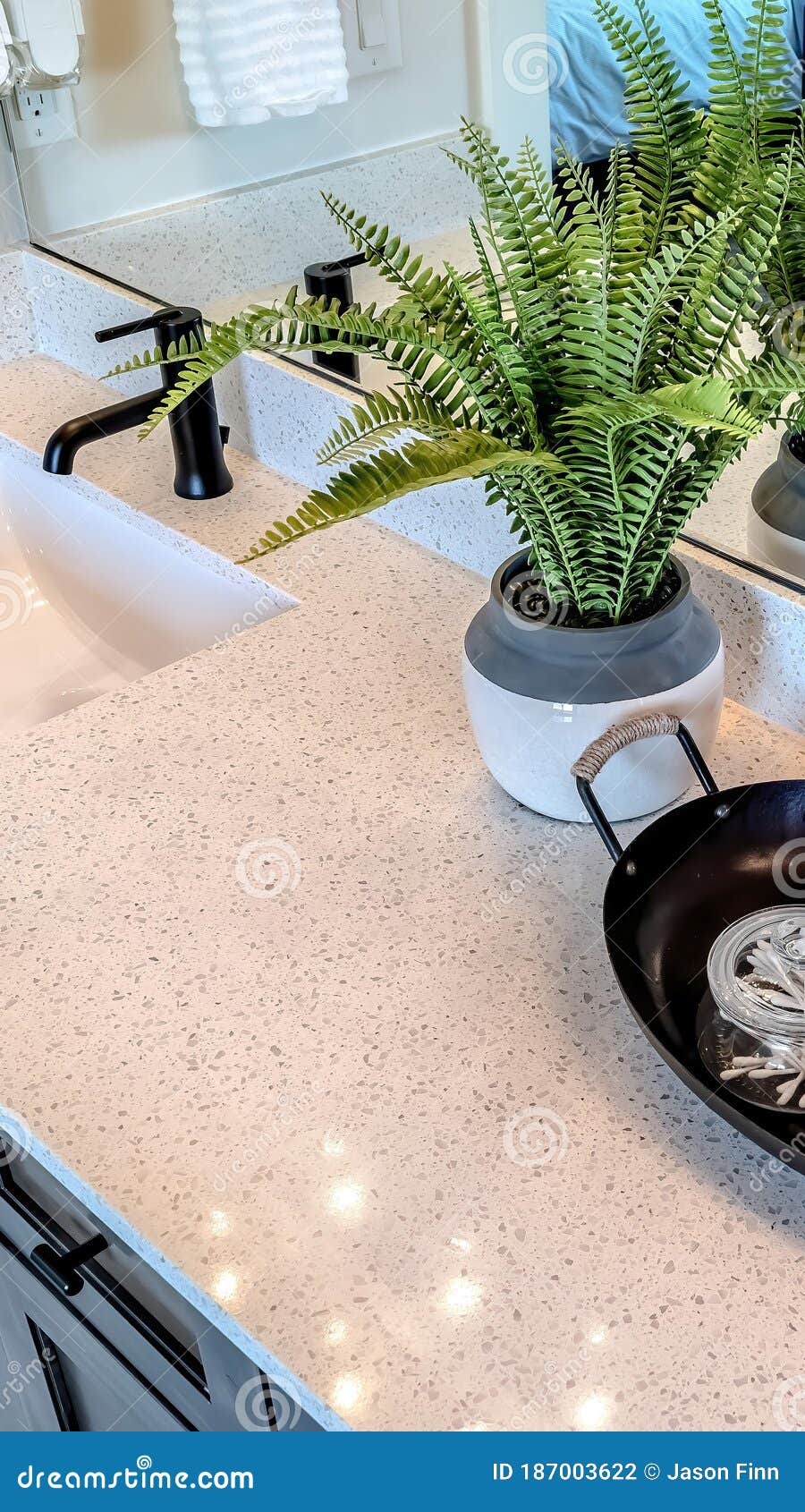 立式作物盆栽蕨类植物和在两个水槽之间装有罐子的托盘 两个水槽上有黑色水龙头库存照片 图片包括有虚荣 蕨类
