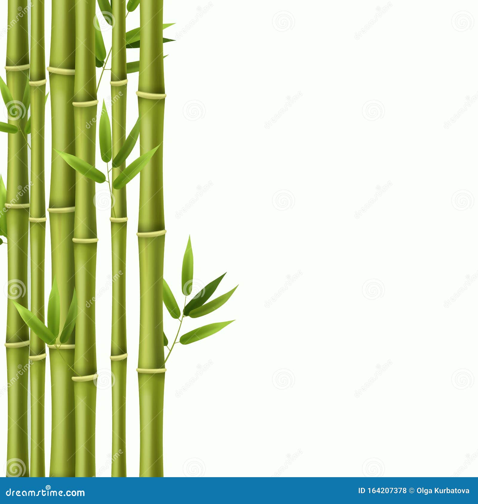 竹背景绿竹雨林茎 日式亚洲自然壁纸图像帧边框矢量向量例证 插画包括有打印 汉语 聚会所