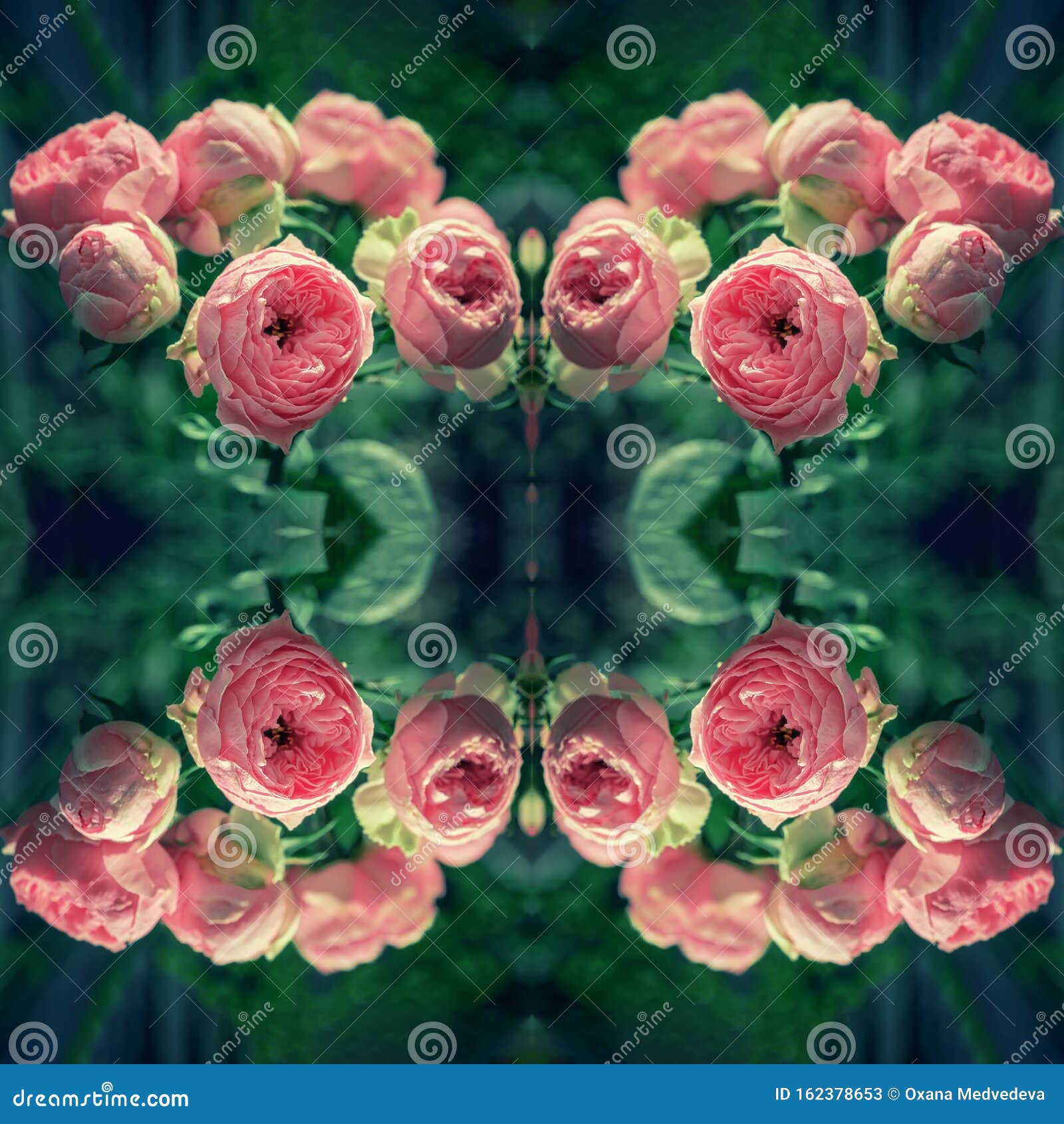 粉红和绿色现代玫瑰花束送礼背景选择性聚焦壁纸库存例证 插画包括有壁纸 选择性聚焦 背景