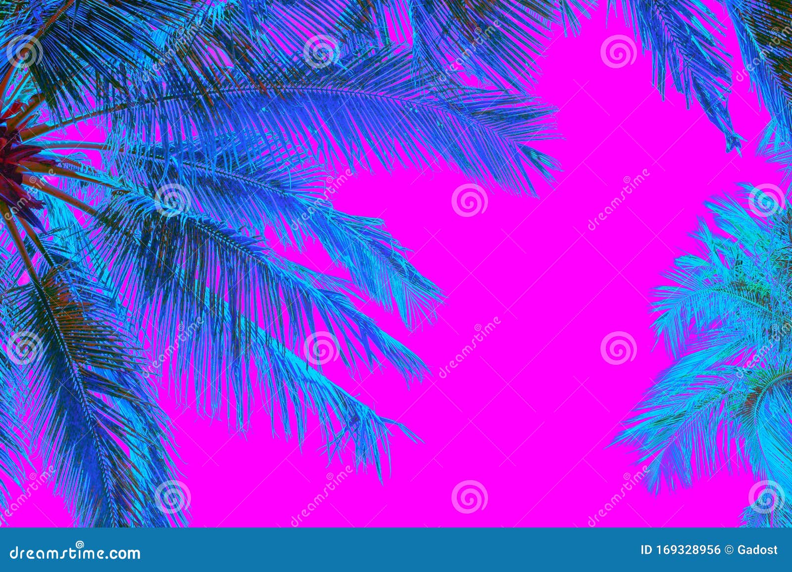 粉红色背景中的霓虹色棕榈树库存照片 图片包括有未来主义 火箭筒 打印 晚上 发光 霓虹灯