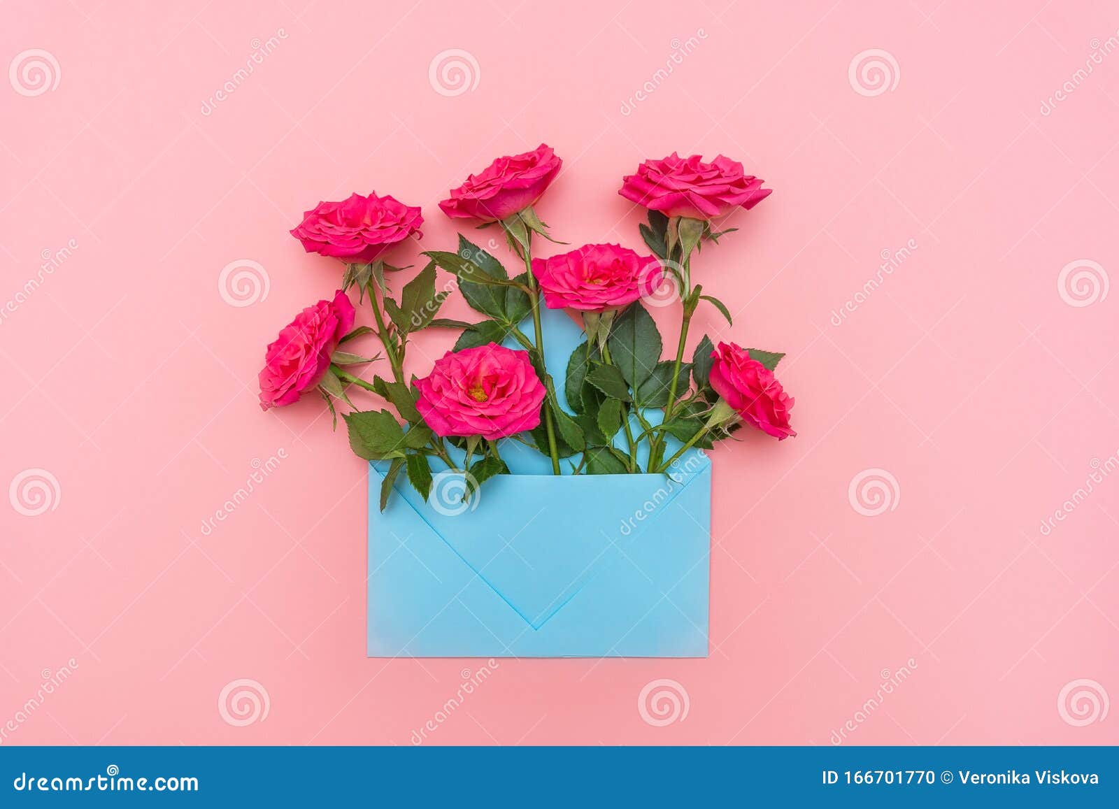 粉蓝色信封 粉红色背景中装满粉红色玫瑰花平躺结婚邀请卡或情书情人节库存照片 图片包括有最小 邀请