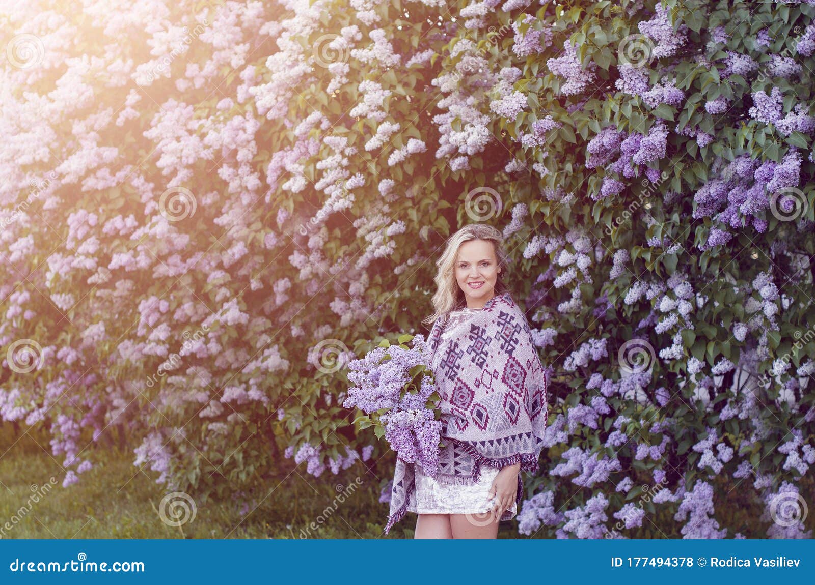 紫丁香花美女画像春库存照片 图片包括有蓬松 八仙花属 生气勃勃 帽子 女性 愉快 开花