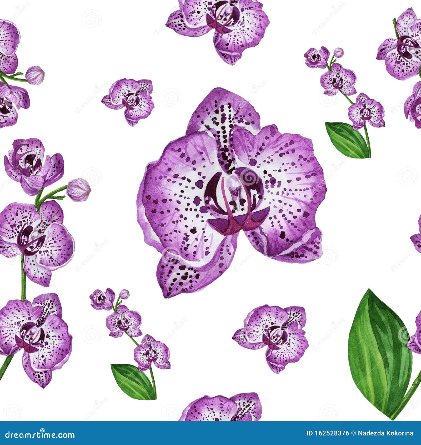 紫兰花图案水彩壁纸库存例证 插画包括有墙纸 装饰 绿色 照片 使用 包装 丁香 卷毛