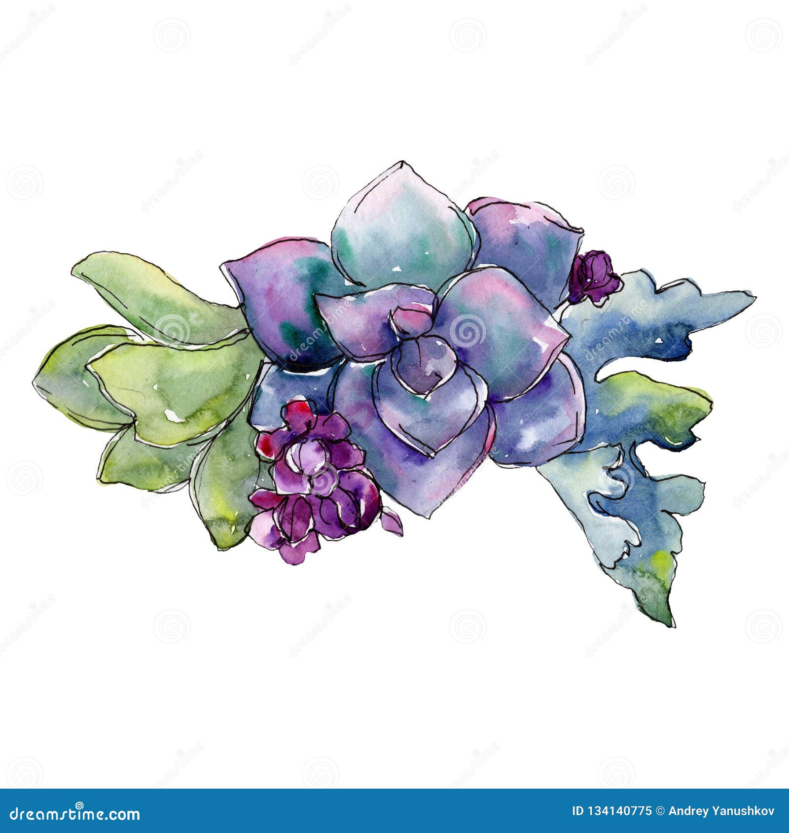 紫色多汁花花束水彩背景例证集合水彩画的时尚水彩画隔绝了库存例证 插画包括有春天 油漆