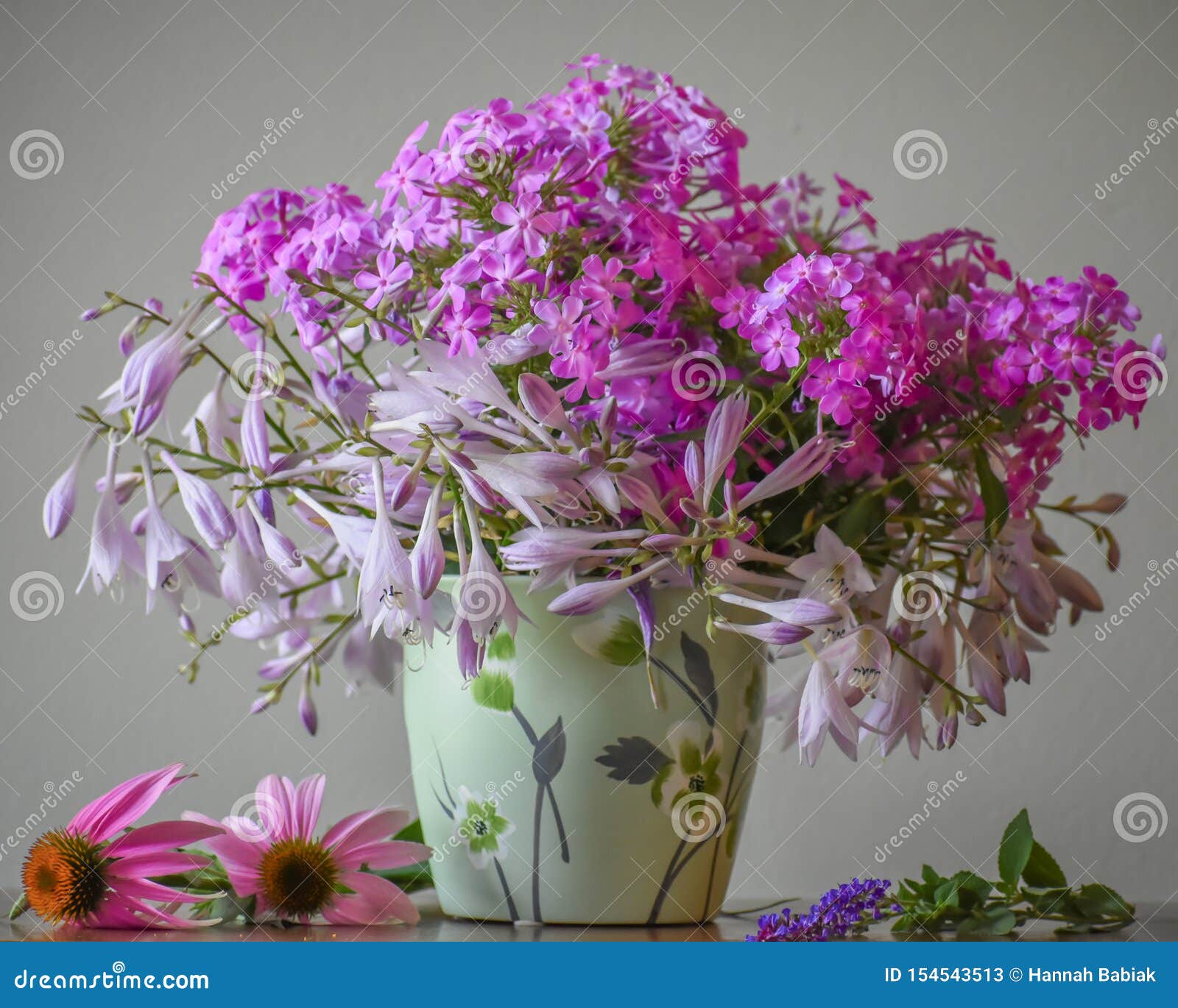 紫色福禄考花花束库存图片 图片包括有徽章 装饰 舒适 上色 开花 夏天 看板卡 七月