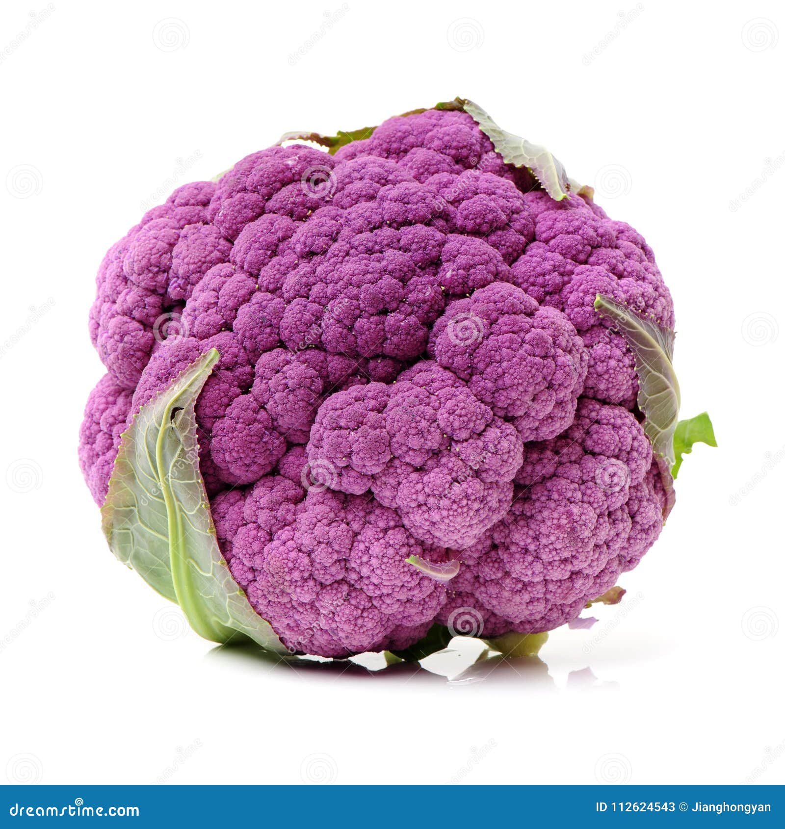 紫色花椰菜库存图片 图片包括有食物 可食 查出 花椰菜 新鲜 饮食 空白 庭院 背包