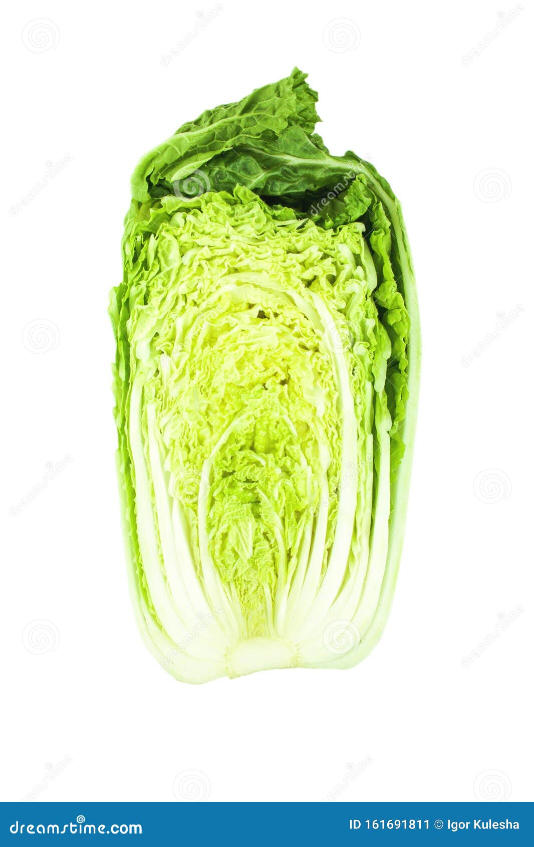 纳帕白菜又称大白菜库存图片 图片包括有纳帕白菜又称大白菜