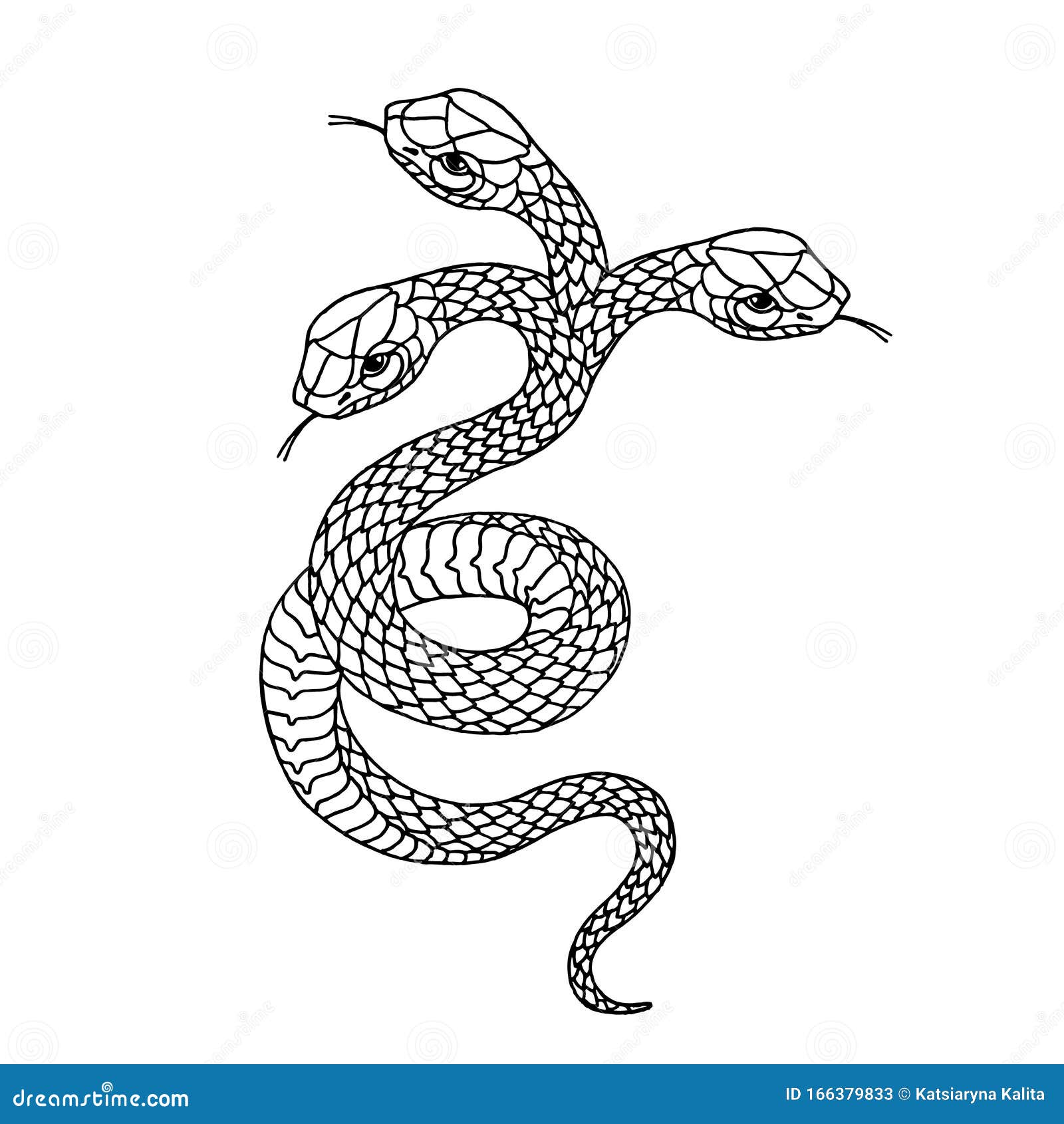 纹身蛇传统黑点式墨水孤立矢量插图向量例证 插画包括有浪漫 看板卡 抽象 乱画 要素 纹身蛇传统黑点式墨水孤立矢量插图向量例证 插画包括有浪漫 看板卡 抽象 乱画 要素
