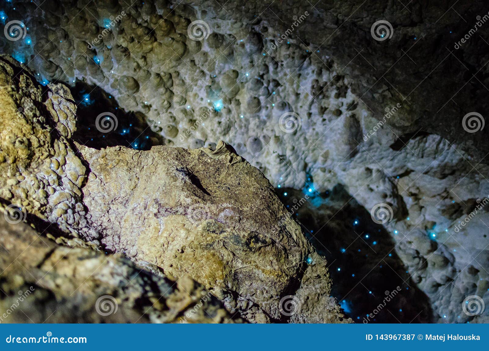 纽西兰北岛北岸外埔石窟中闪光的夜光虫库存图片 图片包括有纽西兰北岛北岸外埔石窟中闪光的夜光虫