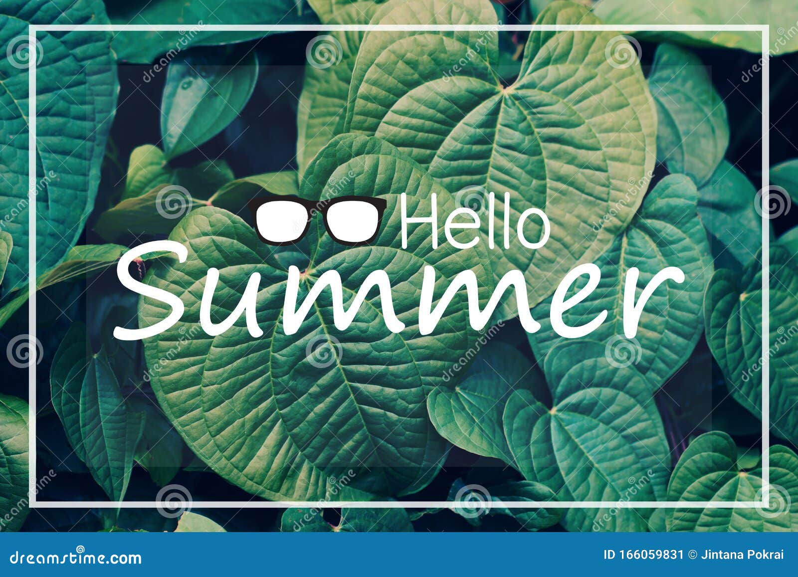 绿叶背景上的hello Summer文本库存图片 图片包括有绿色 字段 环境 抽象 庭院 绿叶背景上的hello Summer文本库存图片 图片包括有绿色 字段 环境 抽象 庭院