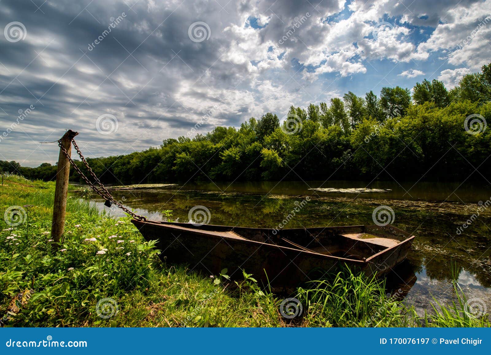 绿色的夏日风景 一艘被绑在湖岸的船 上面种满芦苇和百合 还有一只鹭隐匿库存图片 图片包括有百合 隐藏
