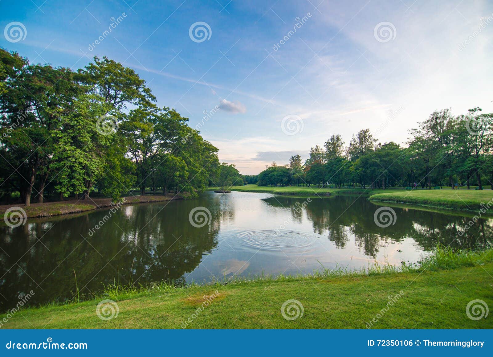 绿草在公园有池塘背景库存照片 图片包括有可弯的 公共 农村 长凳 边路 地产 运输路线