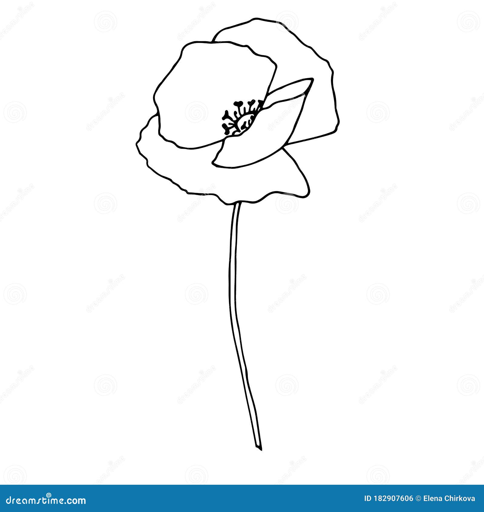 罂粟 手绘图白色背景中突显的手绘罂粟花手绘插图向量例证 插画包括有设计 框架 植物群 查出