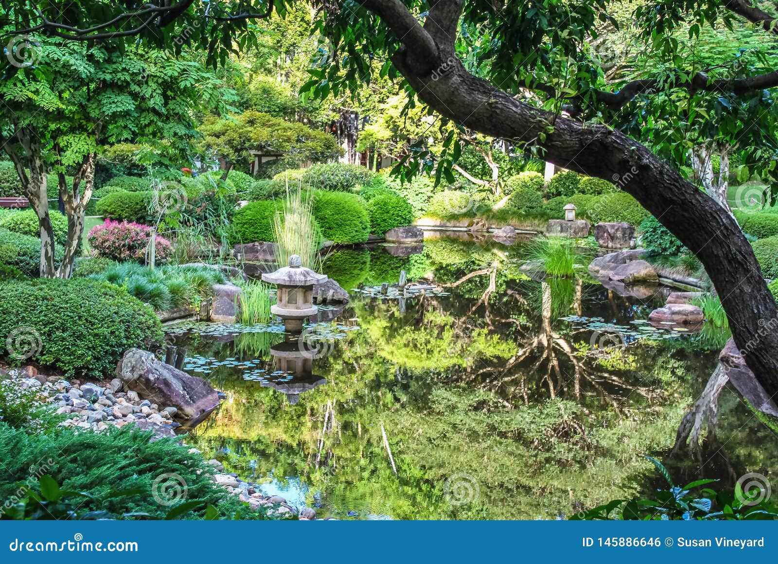 美丽的东方花园 有小小的水泥庙 池塘 倒映着树和百合花垫 精挑细选库存照片 图片包括有精挑细选 美丽的东方花园 有小小的水泥庙 池塘 倒映着树和百合花垫