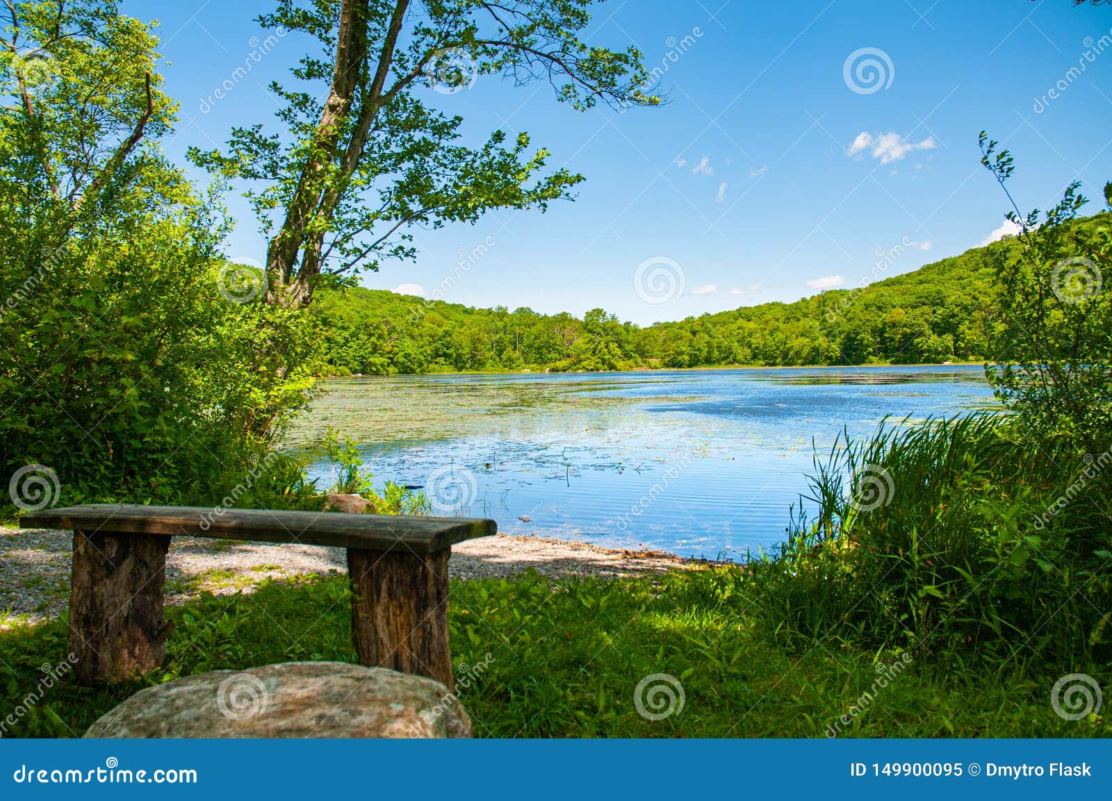 美丽的森林风景湖在湖背景的老长凳库存图片 图片包括有季节 天空 长凳 亚马逊 浪漫 绿色