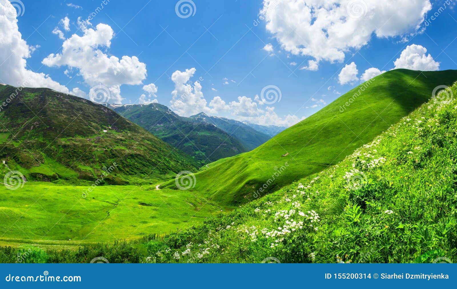 美丽的绿色山谷风景象草的山夏日在乔治亚令人惊讶的明亮的山风景 库存照片 图片包括有美丽的绿色山谷 令人惊讶的明亮的山风景