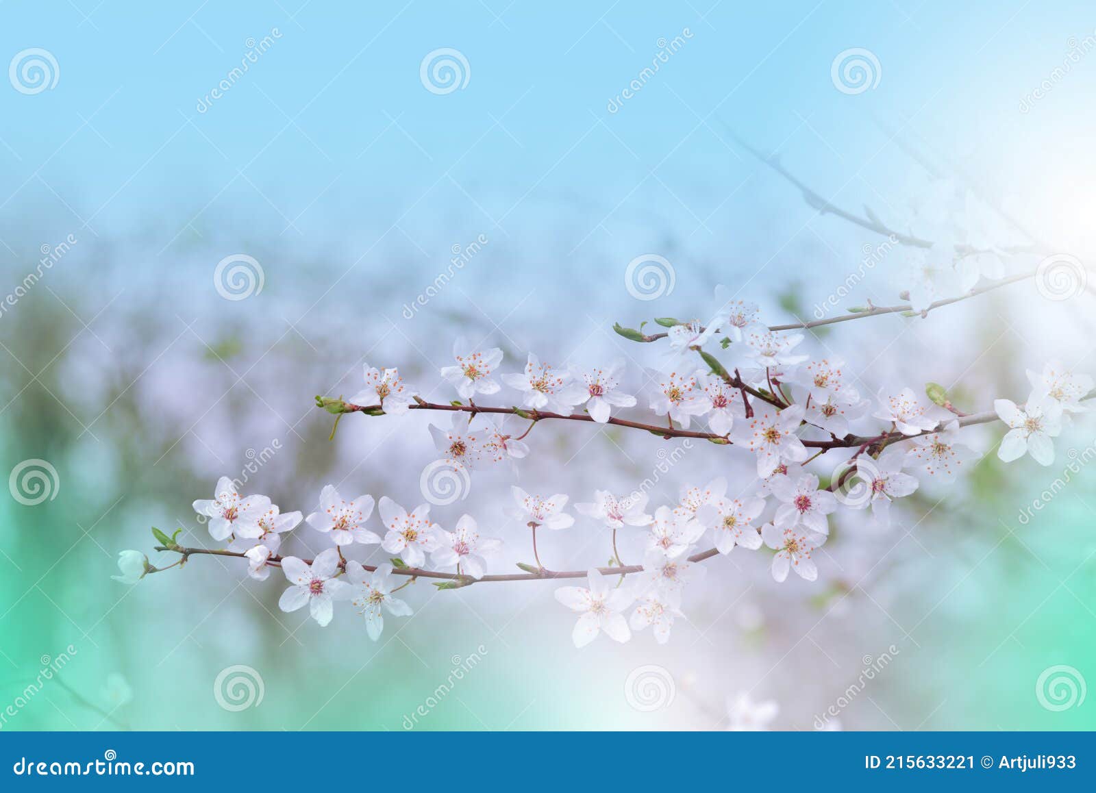 美丽的自然蓝背景抽象壁纸的庆祝春花设计樱花绽放库存图片 图片包括有环境 祝贺 蓝色 颜色 美丽的自然蓝背景抽象壁纸的庆祝春花设计樱花绽放库存图片 图片包括有环境 祝贺 蓝色 颜色