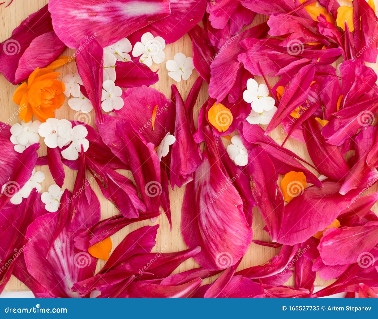 美丽的赤芍花瓣背景或质感的顶视图库存图片 图片包括有美丽的赤芍花瓣背景或质感的顶视图 165527735