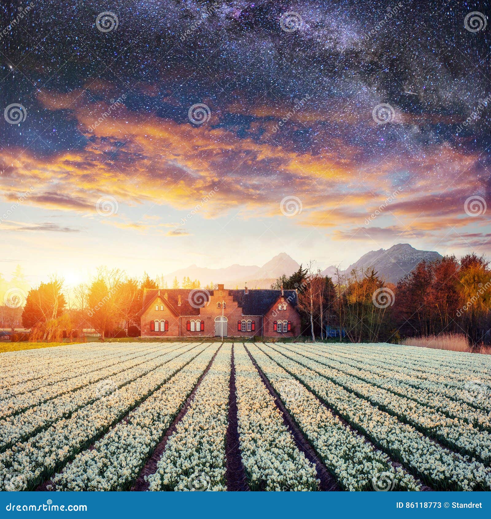 美丽的风景天空领域和风信花荷兰 欧洲库存图片 图片包括有 美丽的风景天空领域和风信花荷兰 欧洲库存图片 图片包括有