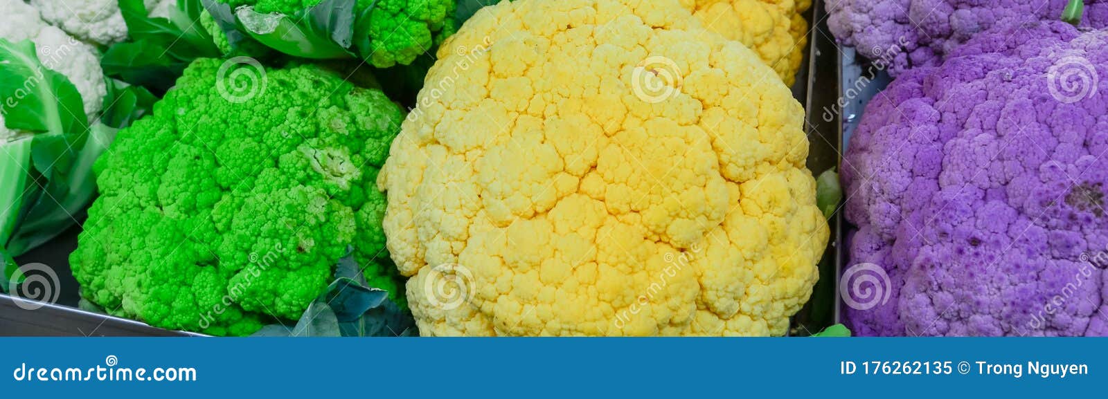 美国华盛顿农贸市场的白色 绿色 黄色和紫色花椰菜头库存图片 图片包括有五颜六色 顶上 营养