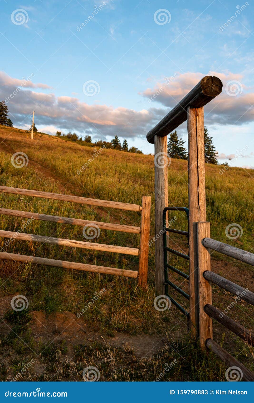 美国华盛顿州东部的西部牧场 带木栅和带金属门的原木入口库存图片 图片包括有结构树 背包