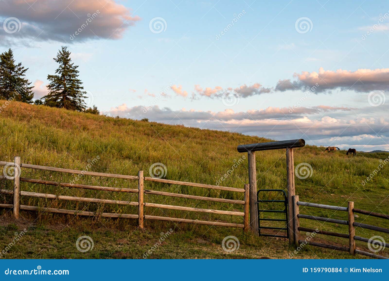 美国华盛顿州东部的西部牧场 有木栅和带金属门 夕阳 马的原木入口库存照片 图片包括有国家 地区 范围