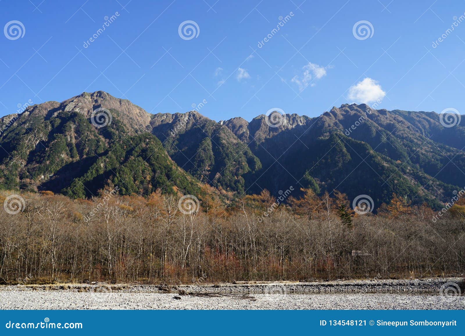 美好的透明的水河风景有山背景在日本阿尔卑斯kamikochi 库存图片 图片包括有横向 女演员