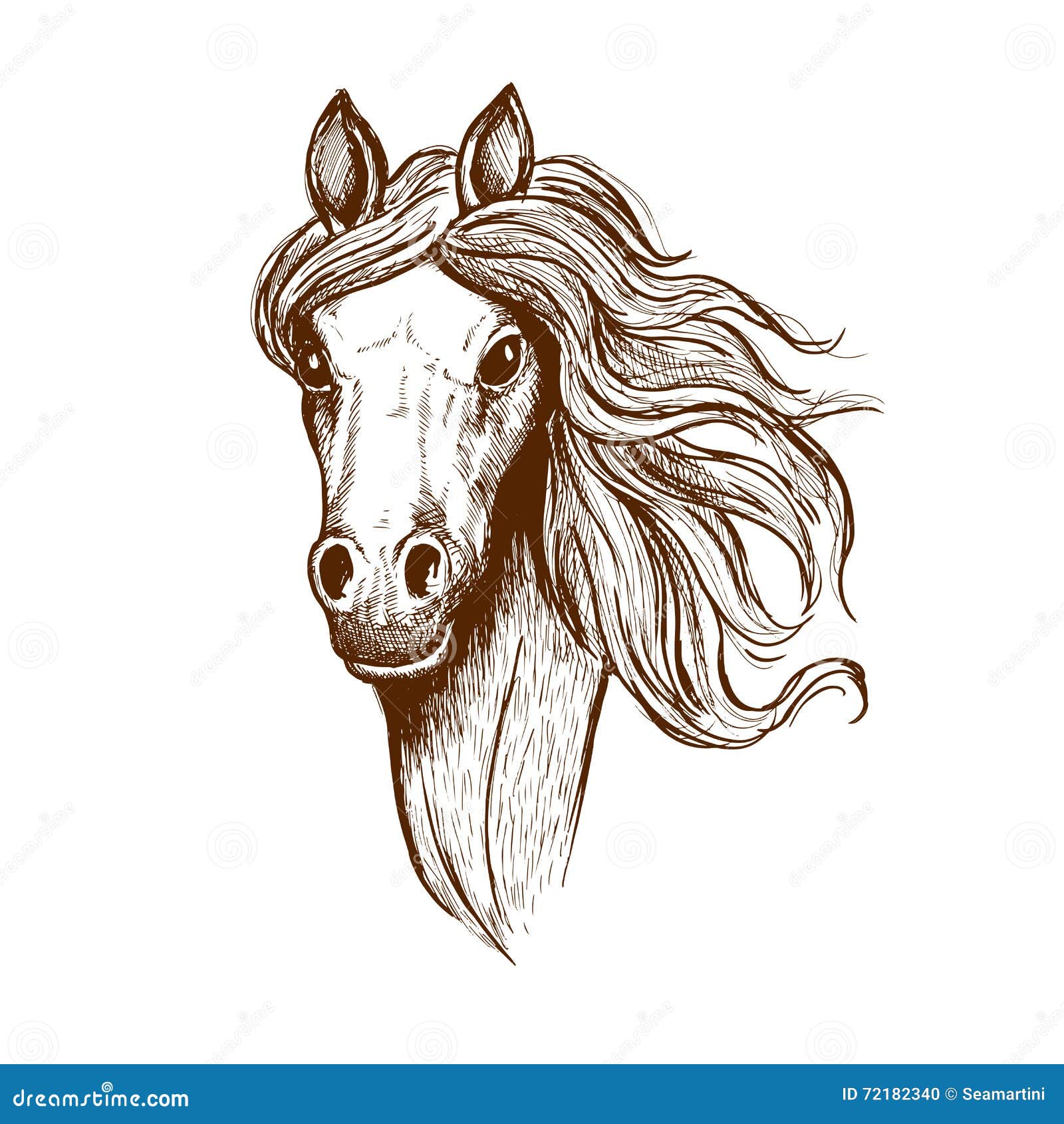 美好的年轻威尔士玉米棒马剪影向量例证 插画包括有图标 哺乳动物 图画 鬃毛 玉米棒 国内 美好的年轻威尔士玉米棒马剪影向量例证 插画包括有图标 哺乳动物 图画 鬃毛 玉米棒 国内