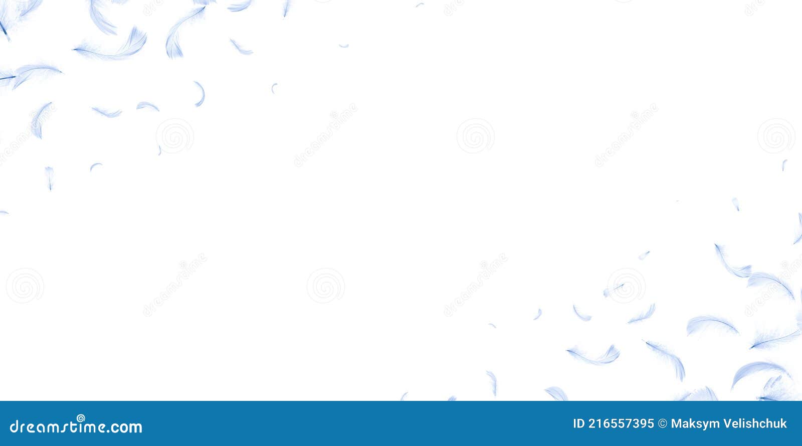 羽白 图案墙纸白背景下的抽象鸟羽纹特写 概念库存图片 图片包括有查出 颜色 神仙 下降