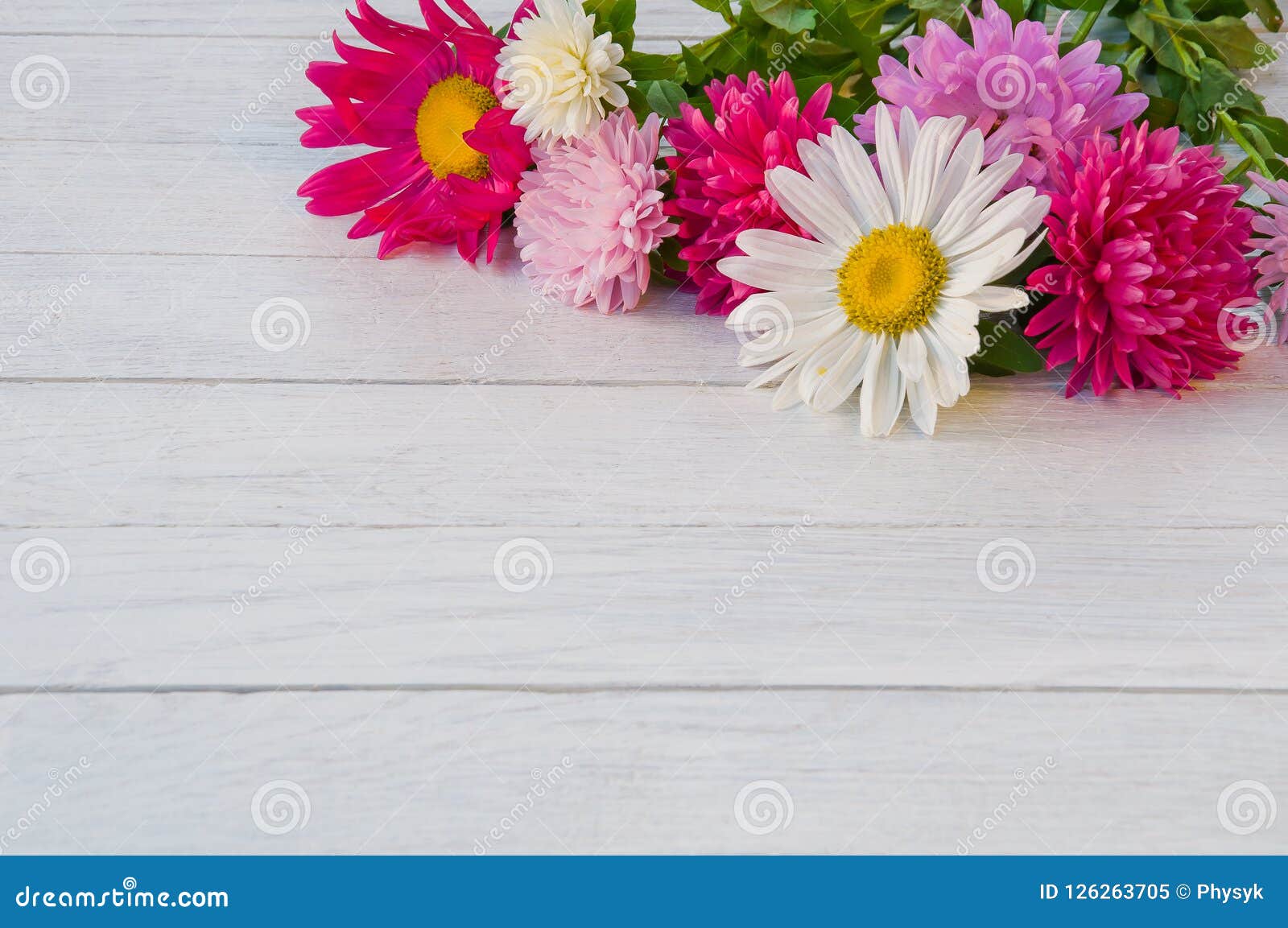 翠菊花束在一张白色木桌上的库存图片 图片包括有照亮 新鲜 蓝色 绽放 一堆 庆祝 花卉