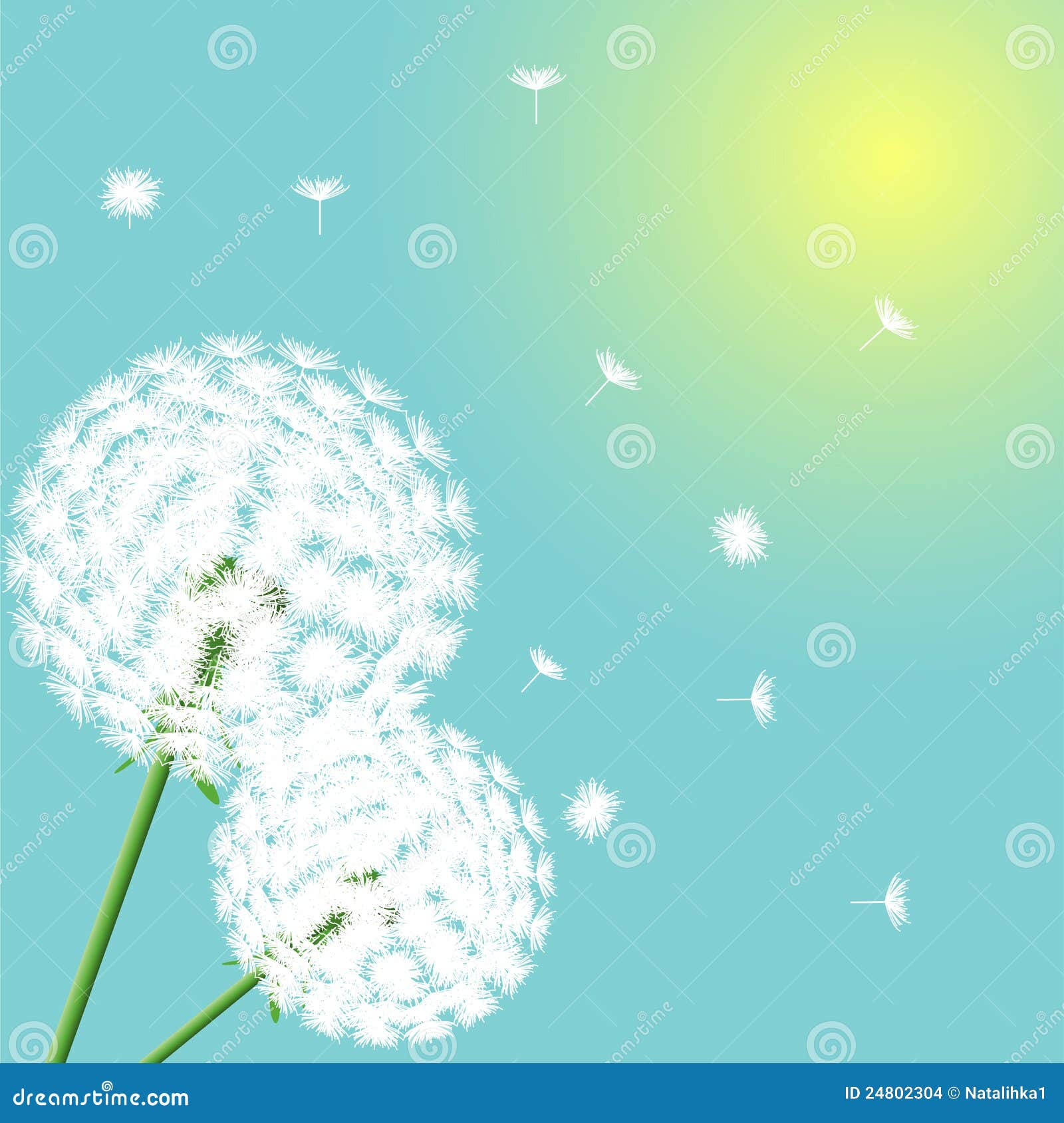 背景蒲公英花光库存例证 插画包括有开花 蓝色 圈子 开花的 自然 精美 从事园艺 工厂