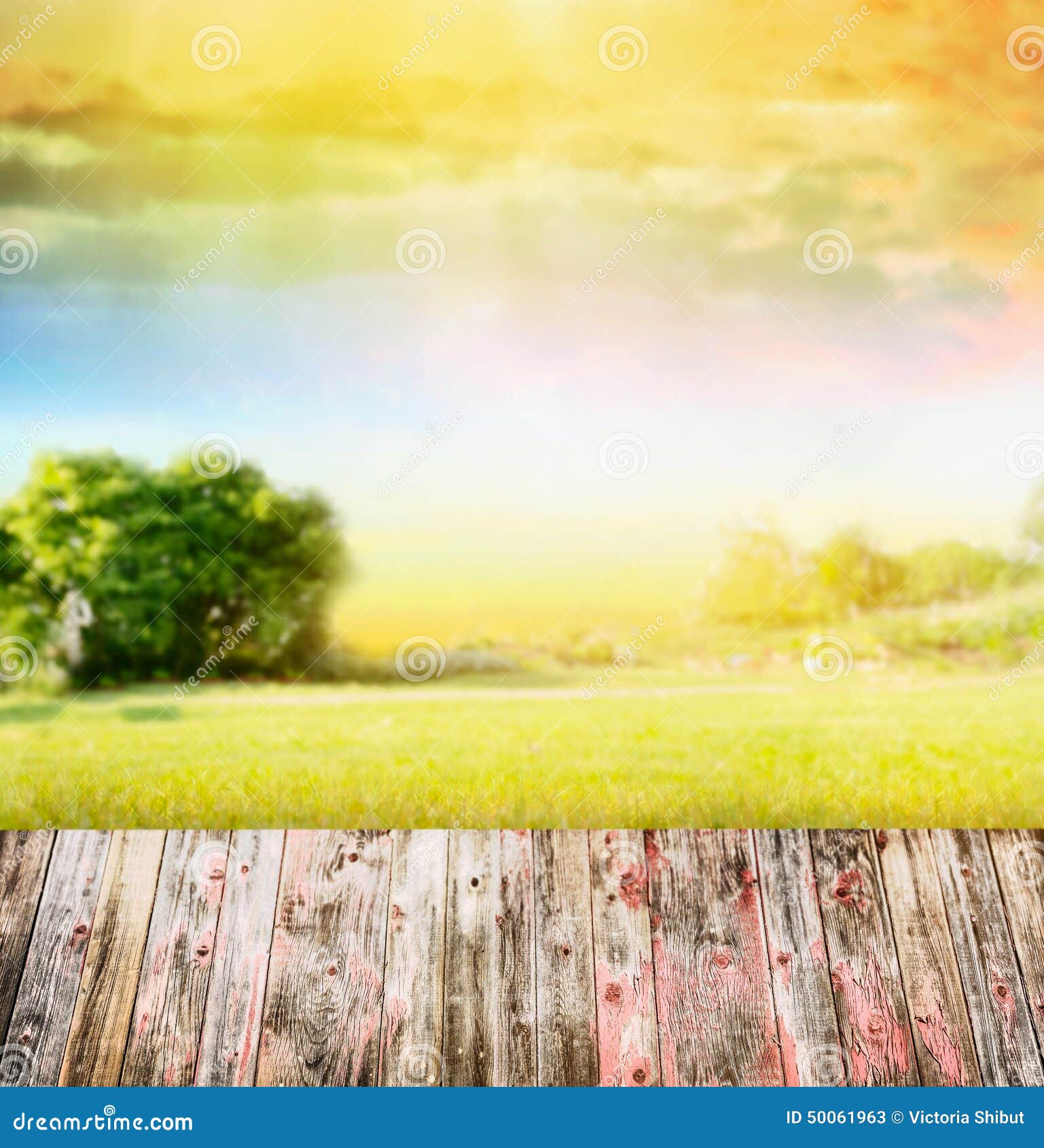 自然与阳光 树 天空和木桌的风景背景库存图片 图片包括有概念 字段 土气 装饰 龙舌兰 背包