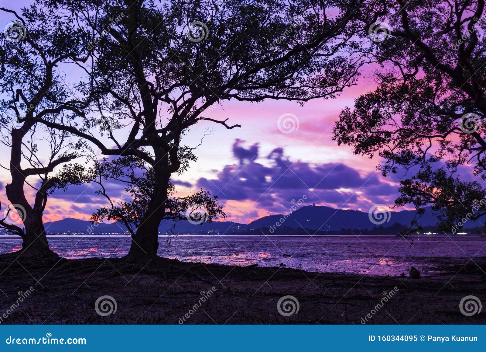 自然风景背景中夕阳美丽的晚清剪影树库存图片 图片包括有季节 发光 海运 本质 字段 早晨
