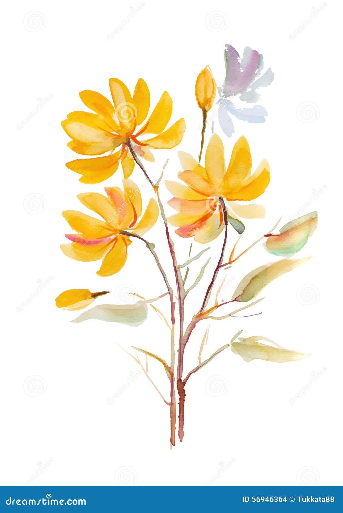 黄色花在白色背景w 水彩 花 花 水 例证 背景的手拉的水彩绘画 向量例证 插画包括有模式 减速火箭