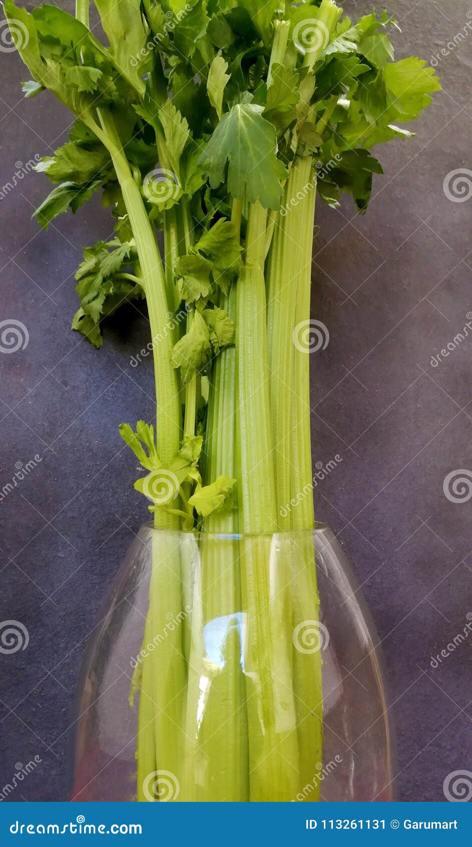 艺术性的芹菜作为菜花束库存图片 图片包括有