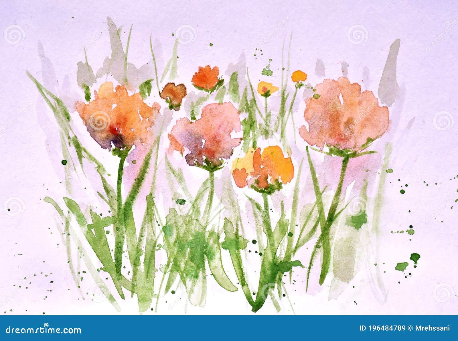 花卉水彩画 花卡设计背景库存例证 插画包括有鸦片 植物群 本质 例证 背包 郁金香 绘画 花卉水彩画 花卡设计背景库存例证 插画包括有鸦片 植物群 本质 例证 背包 郁金香 绘画
