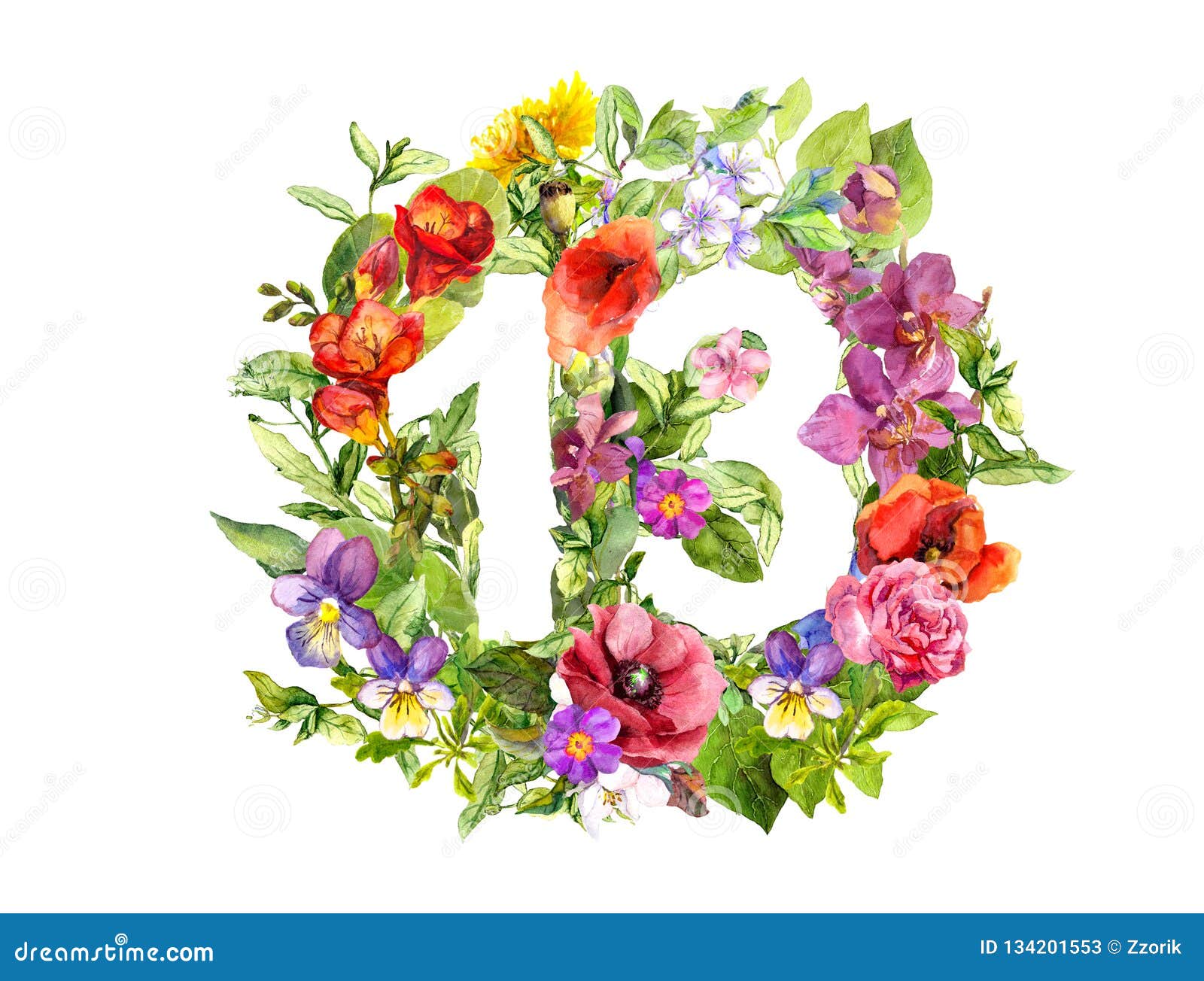 花卉第13十三从野花和草本水彩库存例证 插画包括有水彩 花卉第13十三从野花和草本