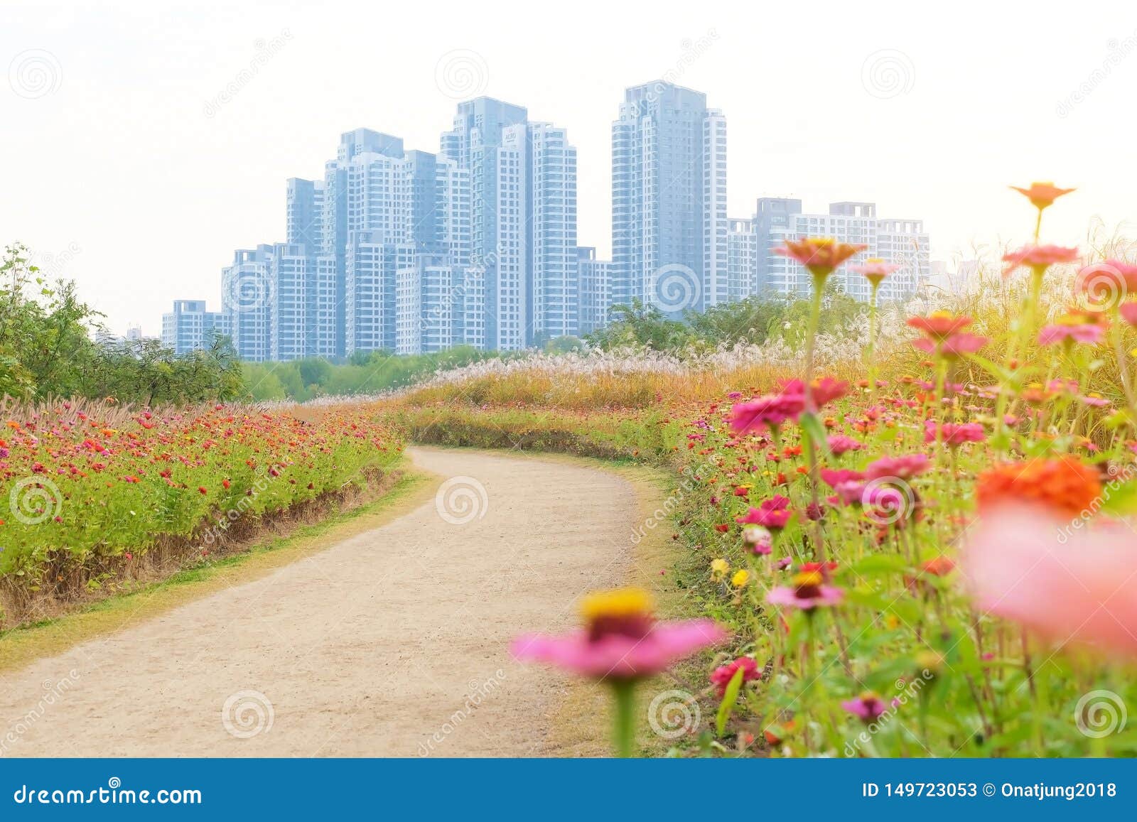 花和大厦背景美丽的景色在汉城韩国库存图片 图片包括有公园 约克 室外 视图 地平线 地标