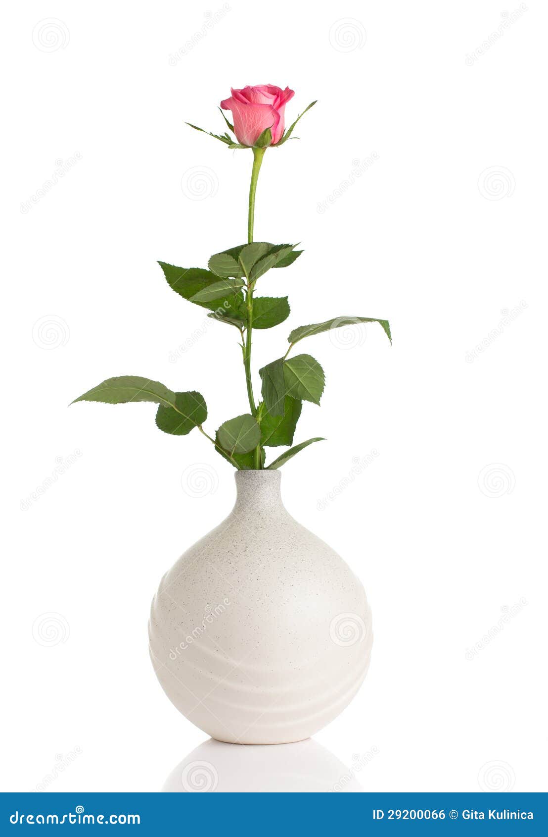 花和花瓶 库存照片 图片包括有仍然 唯一 装饰 编排者 风土化 雏菊 当代 对象 解决方法