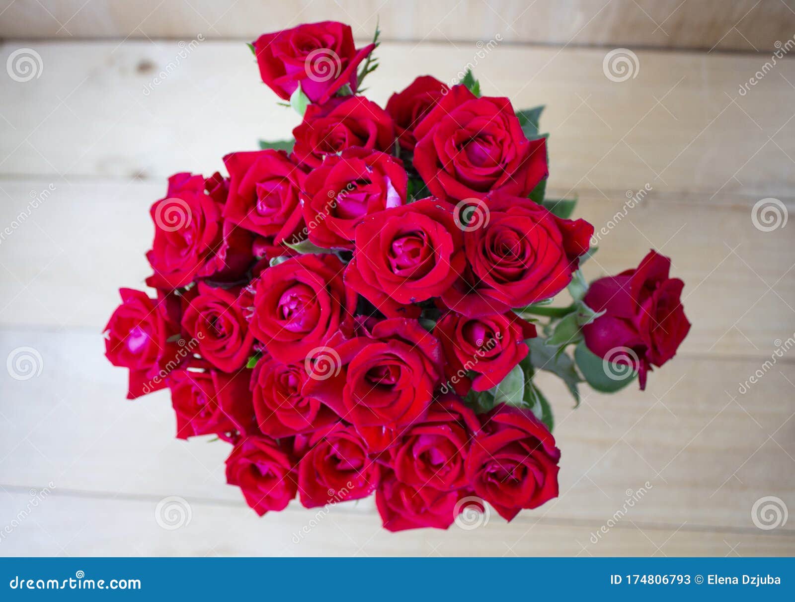 花园中美丽的玫瑰花玫瑰花背景玫瑰花纹美丽玫瑰热带花园玫瑰彩色库存图片 图片包括有国界的 概念