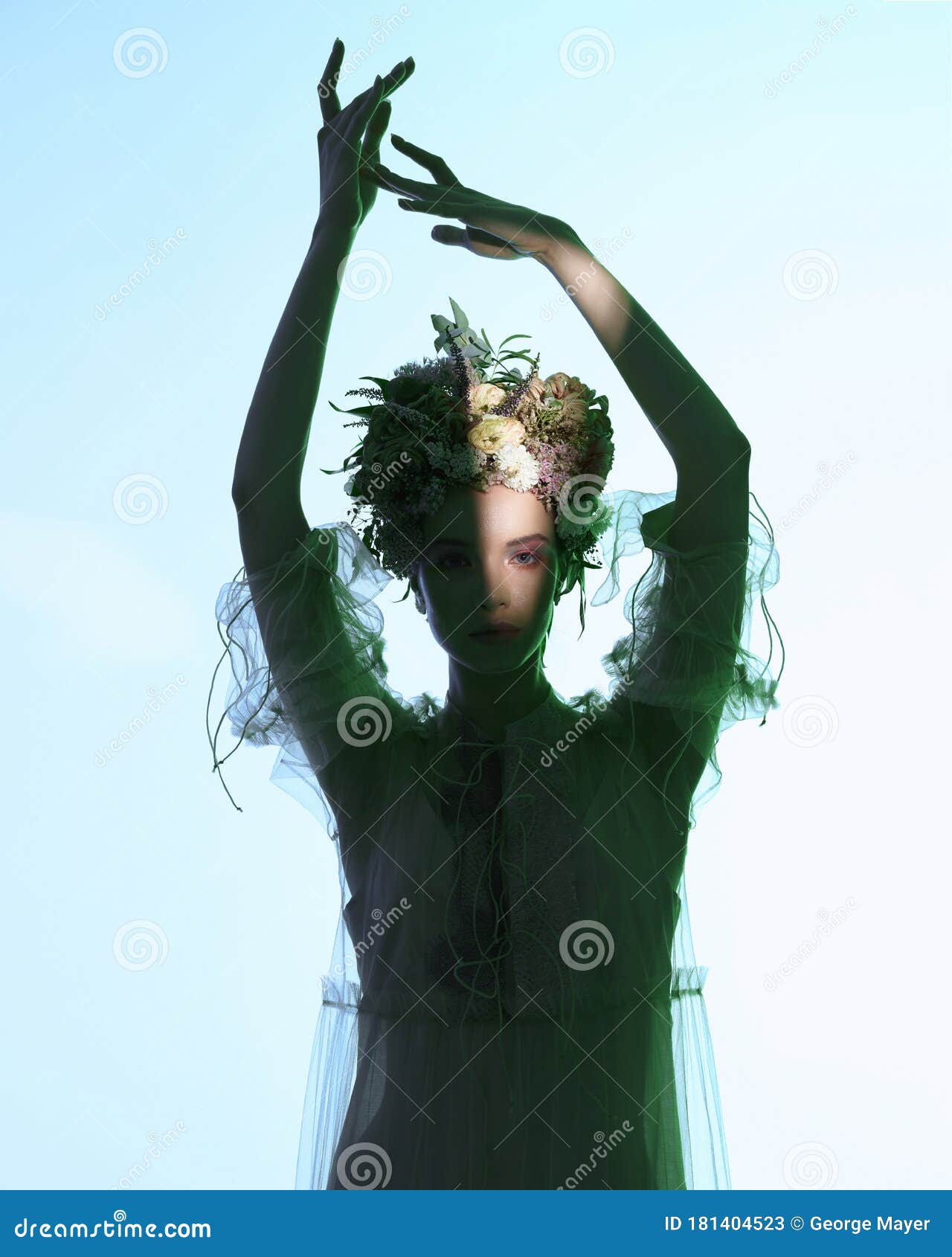 花坛美女的时装艺术照库存图片 图片包括有关心 神仙 查找 魅力 纵向 设计 花卉 王冠